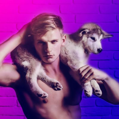 handsome muscular man or macho guy with naked torso and sexy body holds cute dog, puppy pet of husky breed on white brick wall background